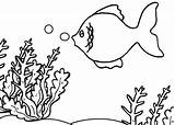 Reefs sketch template