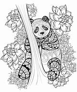 Realistic Coloring Pages Panda Getdrawings sketch template