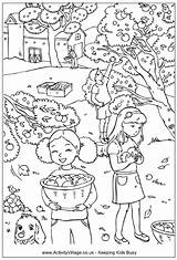 Picking Apples Orchard Zbiory Activityvillage Kolorowanki Dzieci Jesienne sketch template