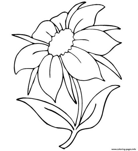 beautiful flowers coloring page printable