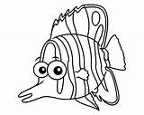 Pez Peces Mariposa Imprimir Paracolorear Coloringpages4u Butterflyfish sketch template