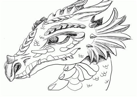 realistic dragon coloring pages  adults coloring home