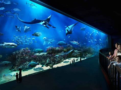marine life park sentosa singapore ticket price opening hours
