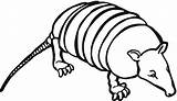 Armadillo Coloring Pages Animal Printable Sectioned Sheet Popular sketch template