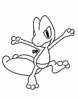 Treecko Pages Coloring Template sketch template