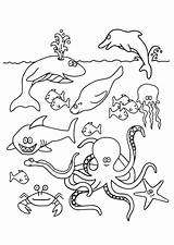 Vissen Kleurplaten Dieren Kleurplaat Poisson Fisch Colorare Malvorlagen Unterwassertiere Coloring Coloriages Kleurplaatjes sketch template