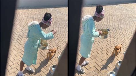 Una Mujer Sorprendió A Su Hija Probando La Comida Para El Perro A