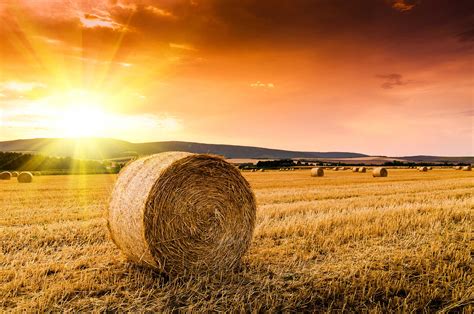 tips  making quality hay  season agdaily