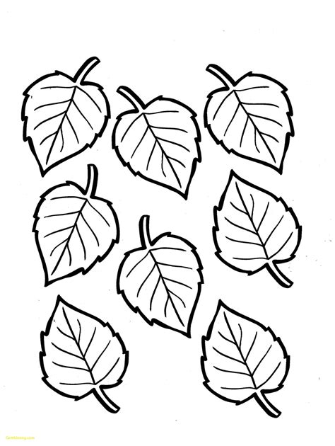 coloring pages preschool fall leaves coloring pages
