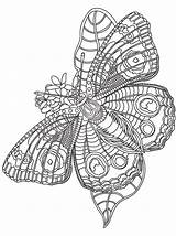 Motyle Kolorowanka sketch template