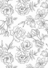 Floral Pages Colouring Printable Sheets Coloring Flower Adult Wallpaper Pattern Drawing Flowers Printables Color Gatheringbeauty Visit Patterns Choose Board Vintage sketch template