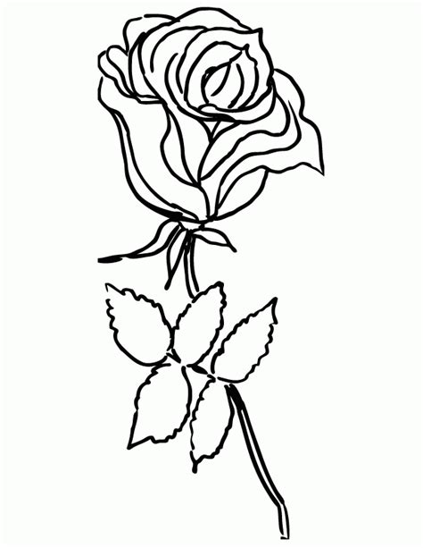 printable coloring pages roses coloring home