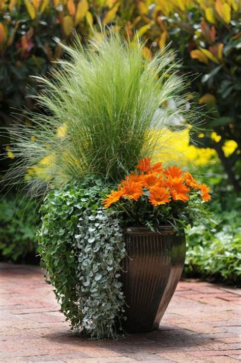 3 Types Of Container Garden Styles Which One Are You