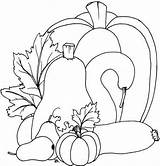 Coloring Pumpkins Printable Gourd Pages Patterns Fall Template Pumpkin Beccy Place Rug Templates Sheet Gourds Crafts Block Nice Would Hooked sketch template