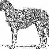 Wolfhound sketch template