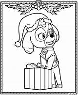Patrouille Coloriage Stella Christmas Skye Cocker Weihnachten Pup Coloringhome скай Ausmalbilder Jecolorie Sheets раскраска Patrulla Maternelle Canina sketch template