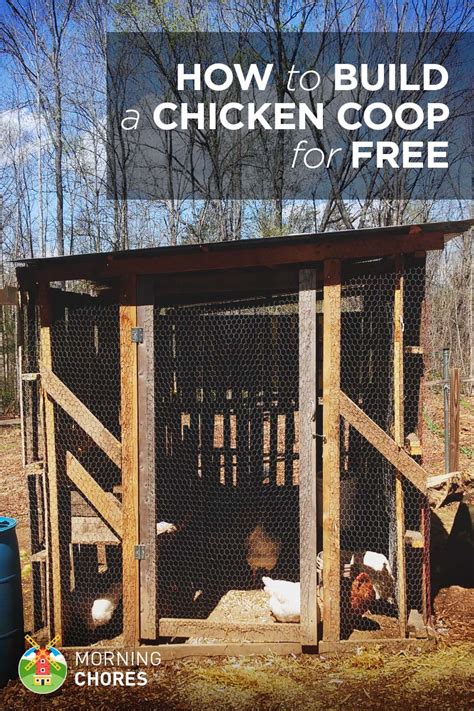 build  practically  chicken coop   easy steps