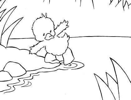 duckling coloring pages  duck coloring page