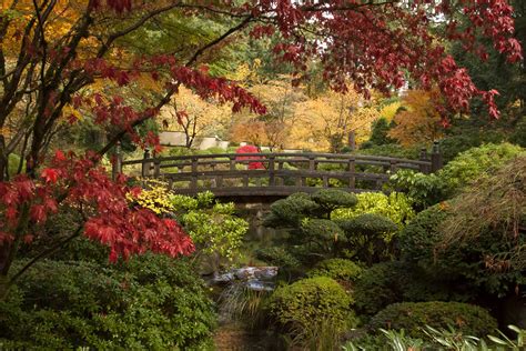 gem   pacific northwest  portland japanese garden  daily world