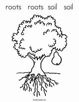 Roots Coloring Soil Tree Trees Fruit Photosynthesis Pages Twistynoodle Colouring Template Pear Kids Preschool Print Outline Worksheets Built California Usa sketch template