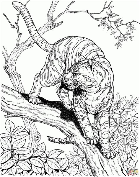 jungle animals coloring pages  coloring home