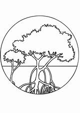 Bomen Mangrove Kleurplaat sketch template