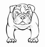 English Face Bulldog Template sketch template