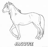 Jacquie Paard sketch template
