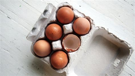 10 Khasiat Telur Yang Perlu Anda Tahu Root Of Science