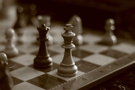 standen en uitslagen eerste deldense schaakclub sport nieuws uit delden het laatste nieuws