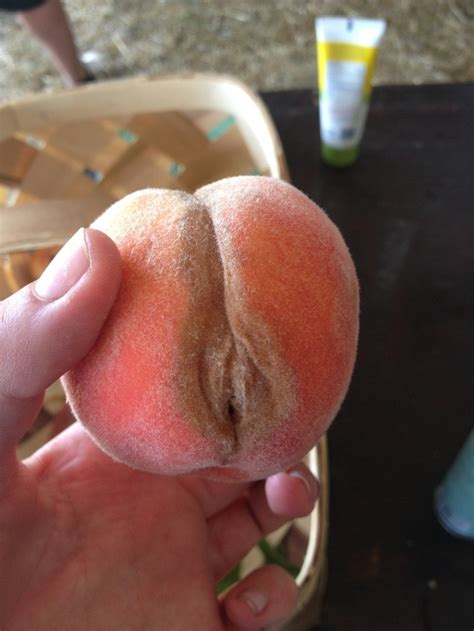 I Was Innocently Trying To Eat A Peach Today For Breakfast