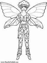Pages Coloring Fairy Pheemcfaddell Colouring Faries Teasel Twila sketch template