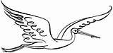 Stork Storch Cigogne Cegonha Fliegender Bocian Gleitflug Ausmalbild Voando Anmutiger Supercoloring Druku Pintar Malvorlage Coloringbay Vorlage Locie Biały Clipartbest Artistique sketch template