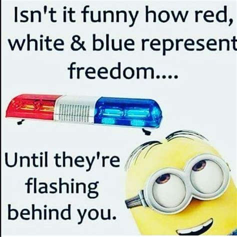 37 Hilarious Minion Memes And Pictures Clean Enough For
