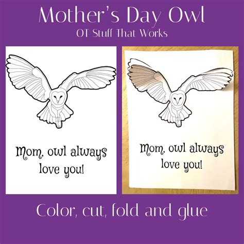 Mother’s Day Mother Appreciation Craft Owl Classful