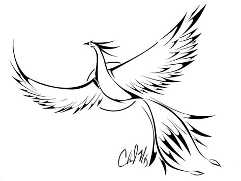 phoenix bird drawing  paintingvalleycom explore collection
