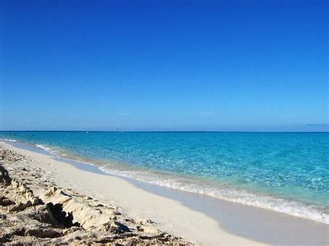 beach  clean  clear