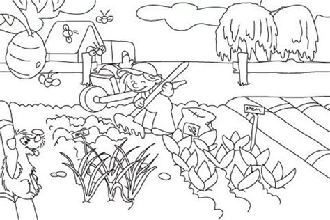 vegetable garden coloring pages printable garden coloring pages