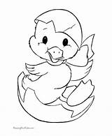 Easter Coloring Duck Cute Pages Print Printable sketch template