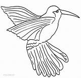 Hummingbird Coloring Pages Printable Cool2bkids Drawing Kids Humming Bird Getdrawings Print sketch template