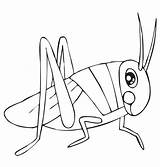 Coloring Pages Kids Grasshopper Cute Grasshoppers Drawing Toddlers sketch template