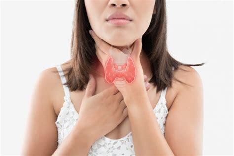 cbd for thyroid problems can cbd help cannabidiol 360