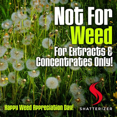 happy weed appreciation day  shatterizer usa