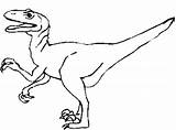 Coloring Pages Velociraptor Getcolorings Park sketch template
