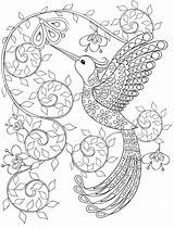 Coloring Pages Adult Colouring Adults Nerdymamma sketch template