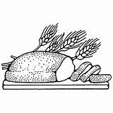 Bread Coloring Pages Grain Whole Loaves Fish Different Yummy Little Sandwich sketch template