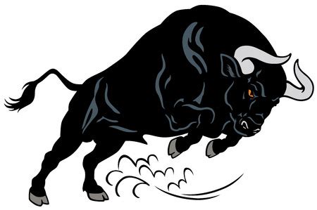 angry bull attacking pose image isolated  white background