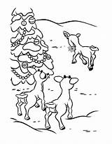 Rudolph Coloring Pages Christmas Reindeer Santa Red Nosed Printable Friends Drawing Color Print Kids Deer Bestcoloringpagesforkids Drawings Hellokids Paintingvalley Santas sketch template
