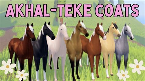 akhal teke coats wild horse islands youtube