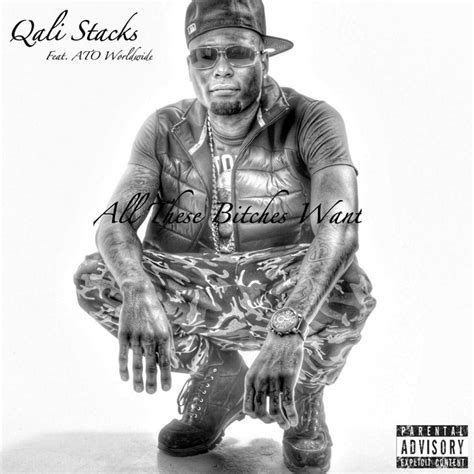 all these bitches want feat ato worldwide single by qali stacks